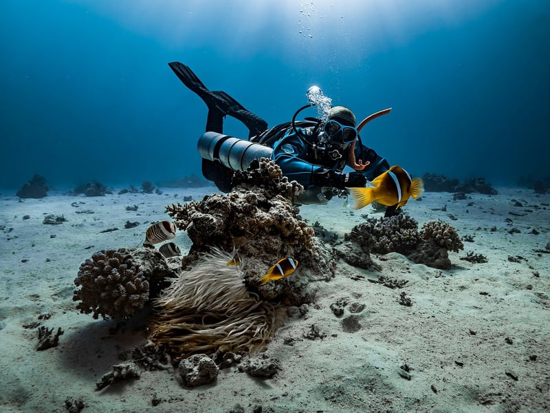 Scuba Diving Image
